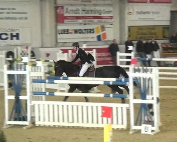 Hallenspringturnier in Borken 2013