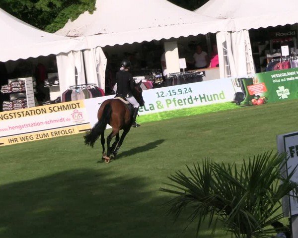 Reitturnier Neu Benthen 2024
