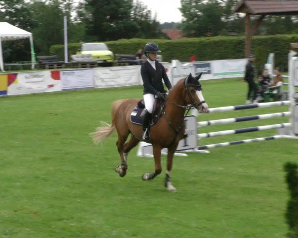 Reitturnier Moringen 2024