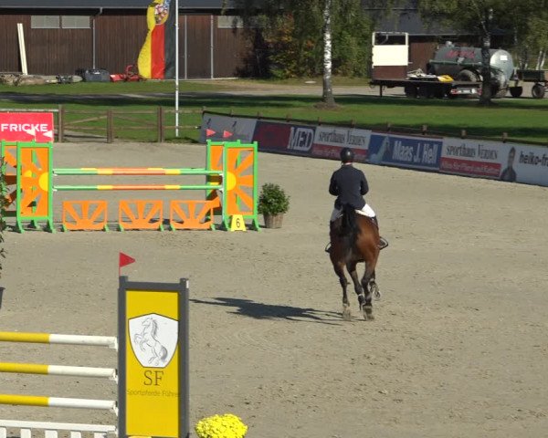 Reitturnier Westergellersen 2021