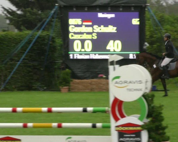 Reitturnier Moringen 2024