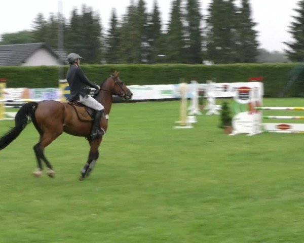 Reitturnier Moringen 2024