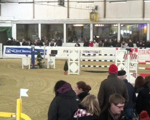 Hallenspringturnier in Borken 2013