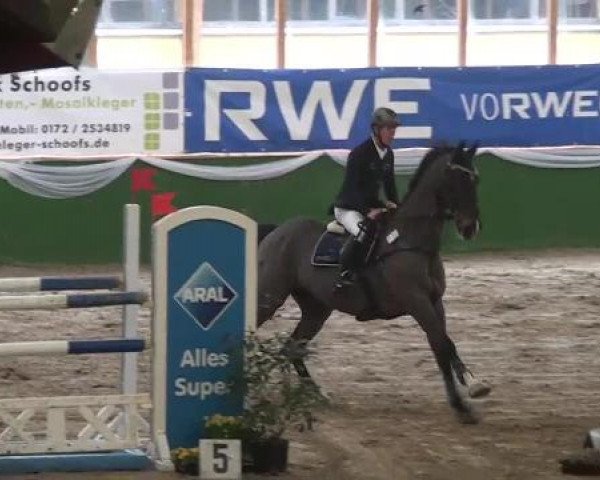 Reitturnier Keppeln 2013