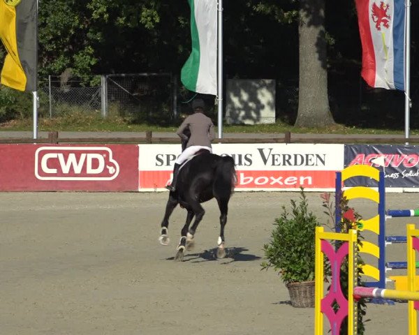 Reitturnier Westergellersen 2021