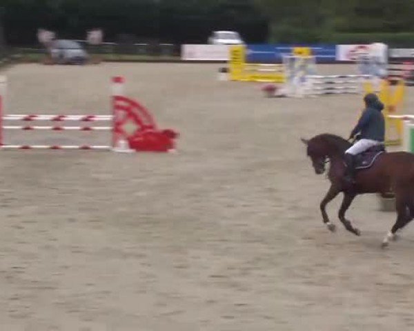 Reitturnier Ehlersdorf 2024