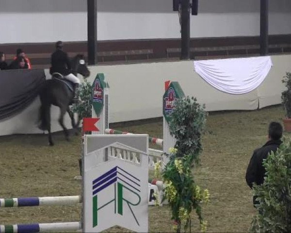 Vlotho-Exter Hallenturnier 2013