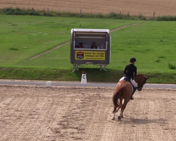 Reitturnier Neu Benthen 2024