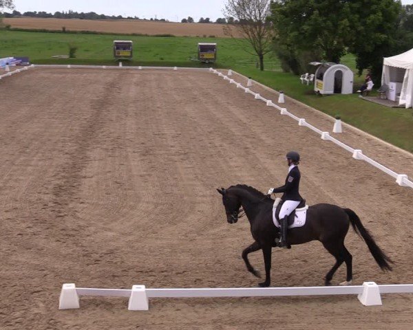 Reitturnier Neu Benthen 2024
