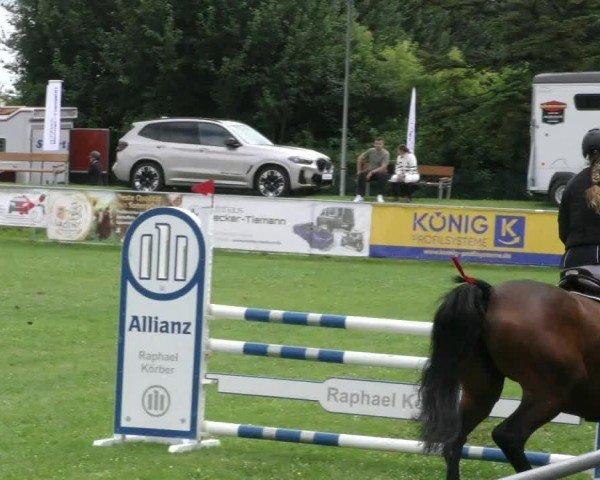 Reitturnier Moringen 2024