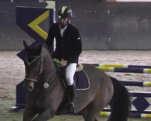 Late Entry Sauldorf-Boll 02.03.2013