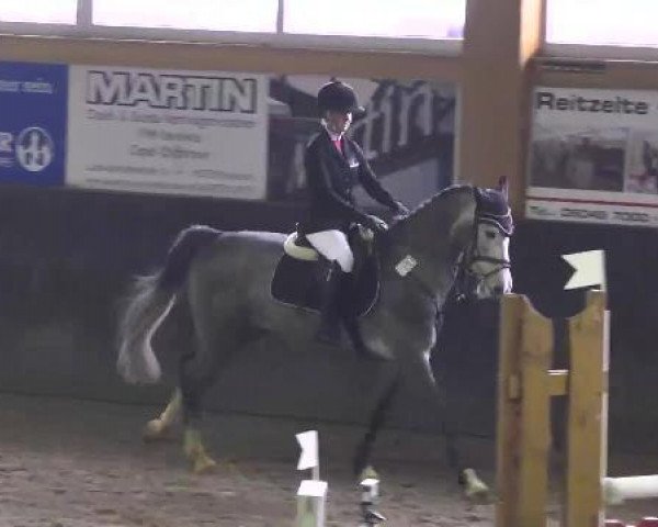 Late Entry Sauldorf-Boll 02.03.2013