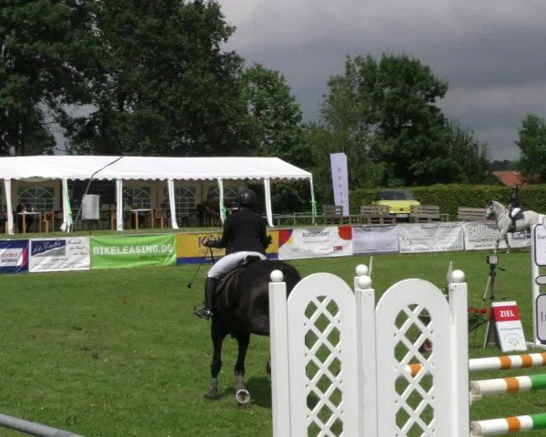 Reitturnier Moringen 2024
