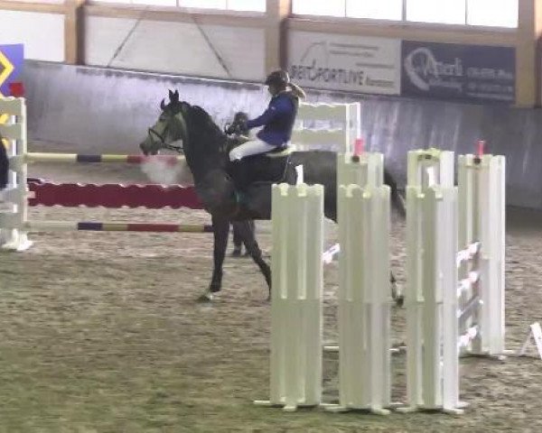 Late Entry Sauldorf-Boll 02.03.2013
