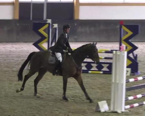 Late Entry Sauldorf-Boll 02.03.2013