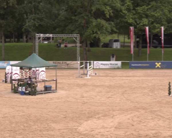Reitturnier Stadl-Paura 2024