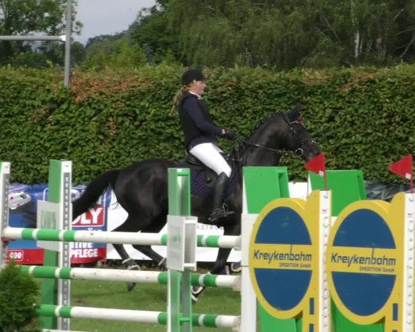 Reitturnier Moringen 2024