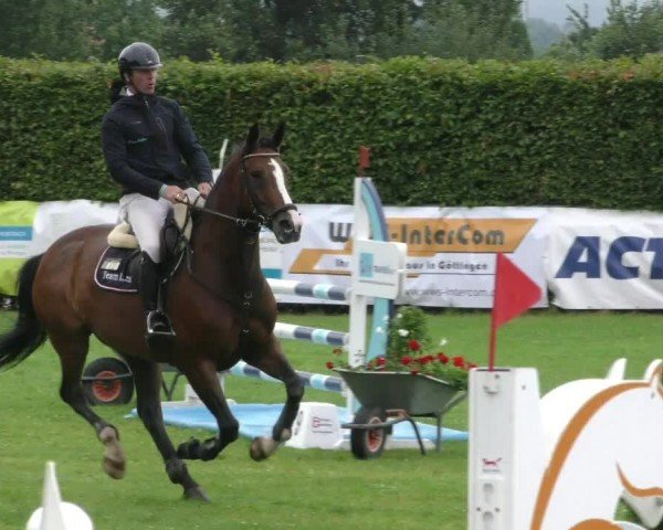 Reitturnier Moringen 2024