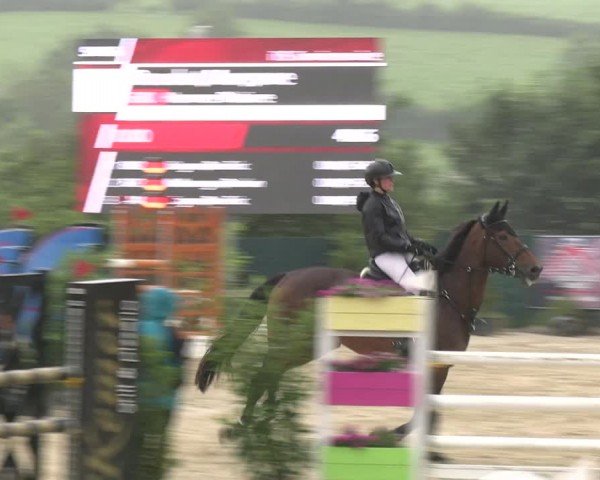 Reitturnier Lindlar-Süttenbach 2024
