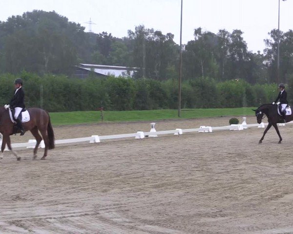 Reitturnier Münster-Roxel 2024