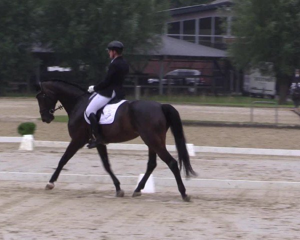 Reitturnier Münster-Roxel 2024