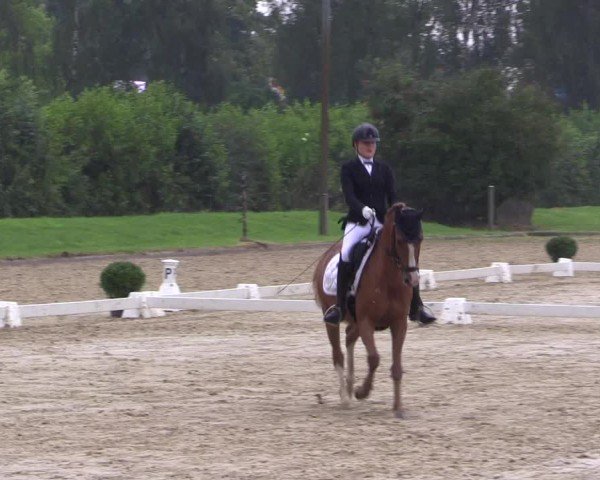 Reitturnier Münster-Roxel 2024