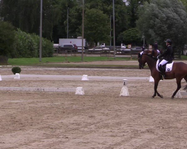 Reitturnier Münster-Roxel 2024