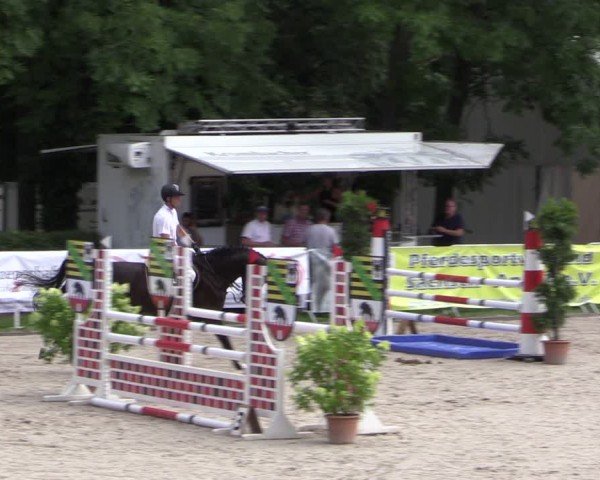 Reitturnier Prussendorf 2024