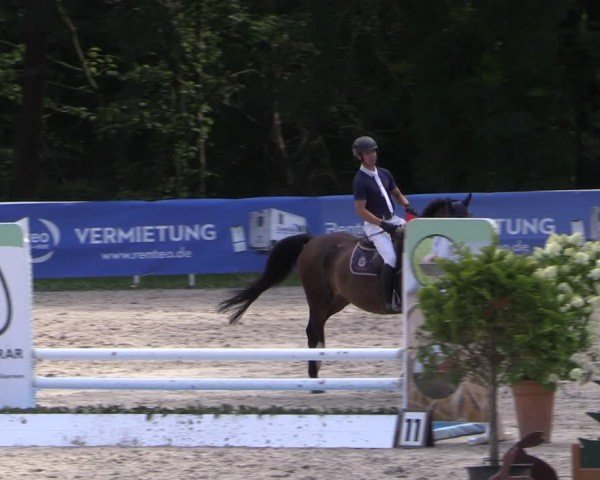 Reitturnier Prussendorf 2024