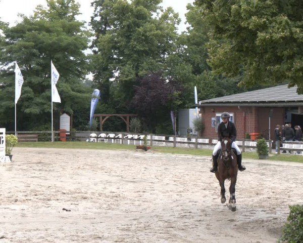 Reitturnier Münster-Roxel 2024
