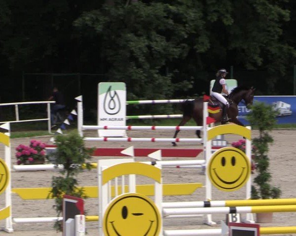 Reitturnier Prussendorf 2024