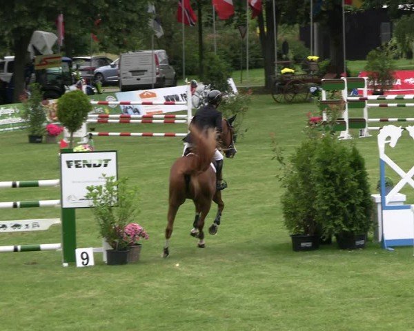 Reitturnier Neu Benthen 2024