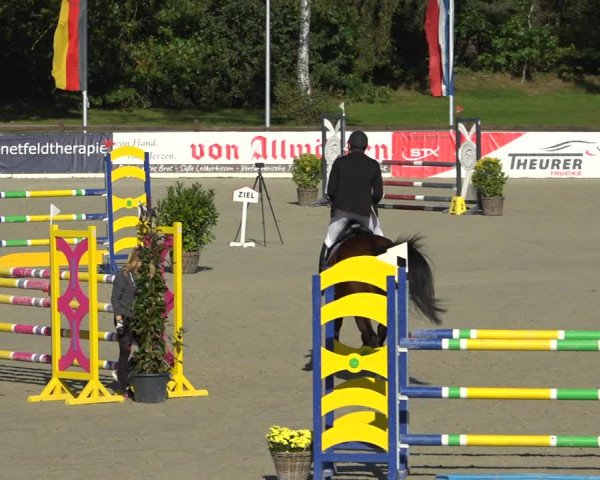 Reitturnier Westergellersen 2021