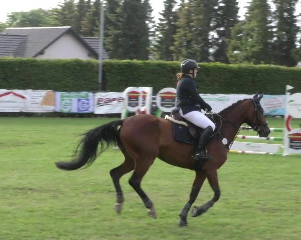 Reitturnier Moringen 2024
