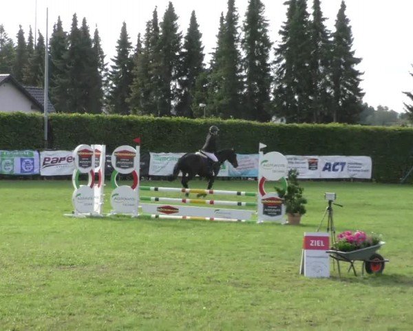 Reitturnier Moringen 2024