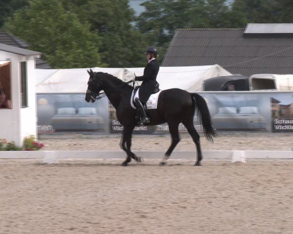 Dressurturnier Seewalchen 2024