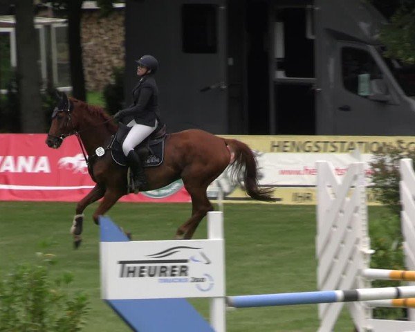 Reitturnier Neu Benthen 2024