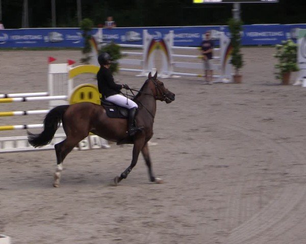 Reitturnier Prussendorf 2024