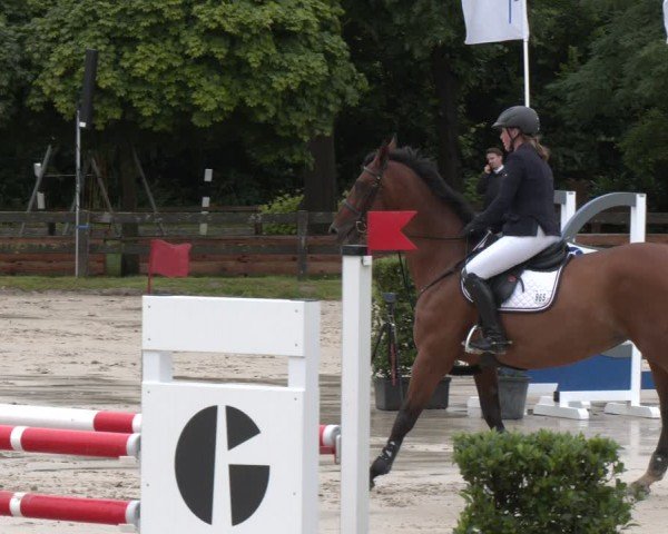 Reitturnier Münster-Roxel 2024