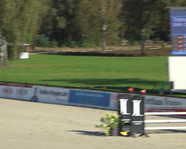 Reitturnier Westergellersen 2021
