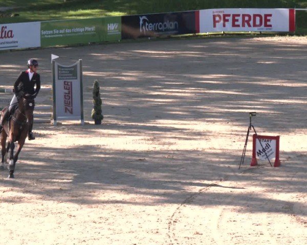 Reitturnier Stadl-Paura 2024