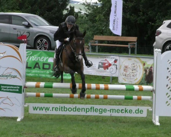 Reitturnier Moringen 2024