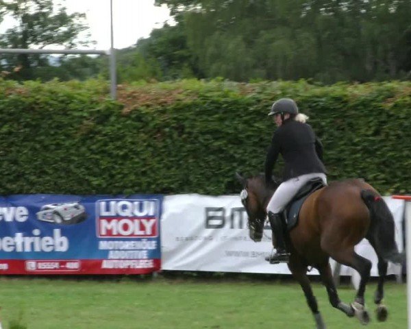 Torneo Equestre Moringen 2024