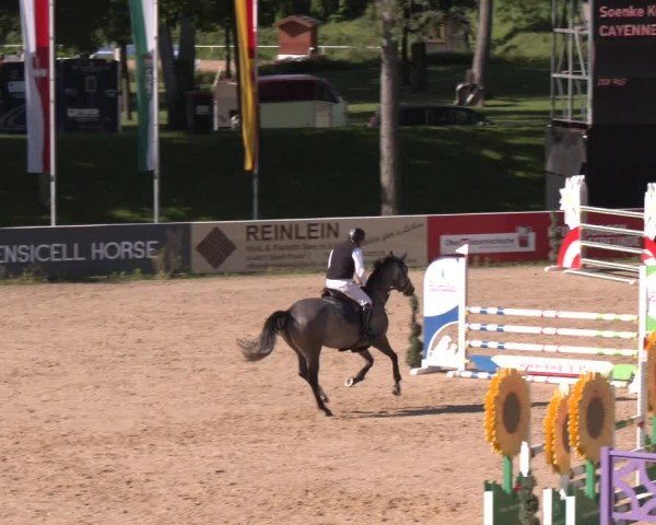Reitturnier Stadl-Paura 2024