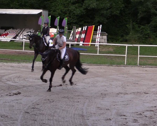 Reitturnier Prussendorf 2024