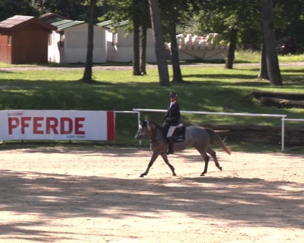 Reitturnier Stadl-Paura 2024