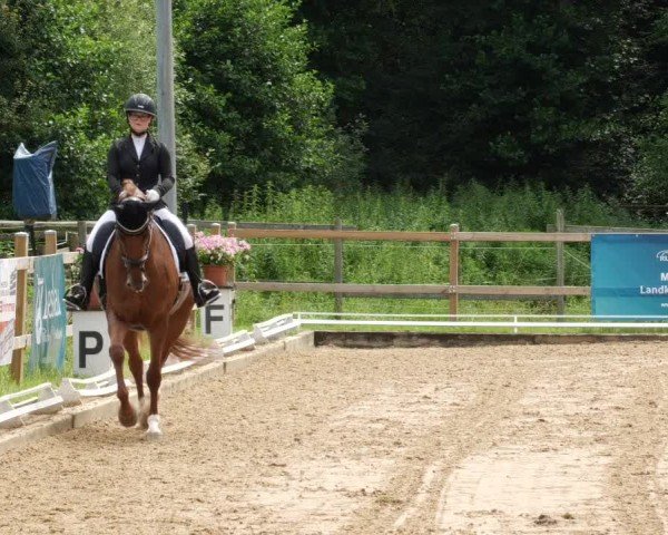 Reitturnier Nürtingen 2024