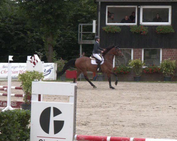 Reitturnier Münster-Roxel 2024