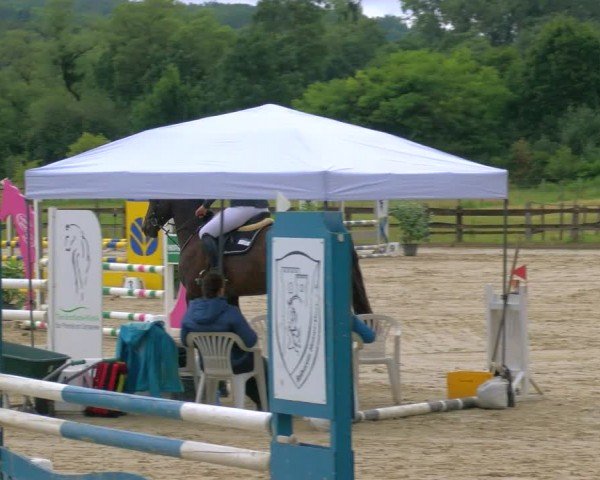 Reitturnier Hemer-Oese an der Edelburg 2024