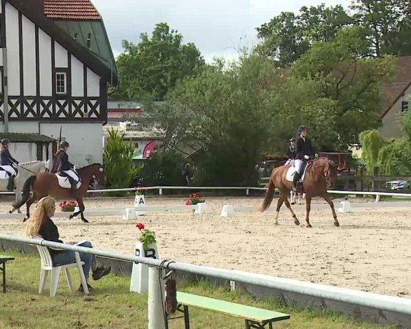 Reitturnier Hof-Haidt/Ofr. 2024